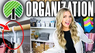 Don't sleep on Dollar Tree Organization section...13 NEW Hacks To Upgrade Your Home