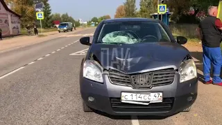 Под Псковом на пешеходном переходе насмерть сбили пенсионерку