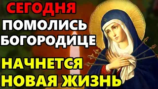 СКАЖИ СЕЙЧАС БОГОРОДИЦА ЖДЕТ ОТ ТЕБЯ ЭТУ МОЛИТВУ! Сильная Молитва Богородице! Православие