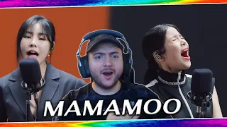 MAMAMOO on Dingo Music KILLING VOICE | REACTION 🔥Perfect Harmony & Vocals🔥