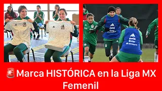 🚨HISTÓRICO La Liga MX Femenil reporta más de 50 en Selecciones Nacionales | Selección Mexicana Fem