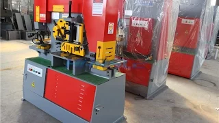 Q35Y-16 Hydraulic multifunctional Ironworker, metal sheet punch and shear machine for Saudi Arabia