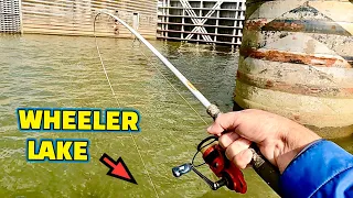 Catching fish at GUNTERSVILLE DAM on the TENNESSEE RIVER!!