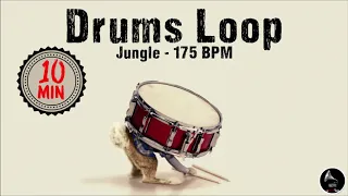 Jungle / Drum & Bass - DRUMS LOOP - 175 BPM