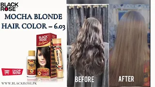 Application video about Black Rose Synthetic Color Mocha Blonde Hair Color – 6.03!!!