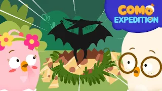 Como Expedition | Pteranodon | Cartoon video for kids | Como Kids TV