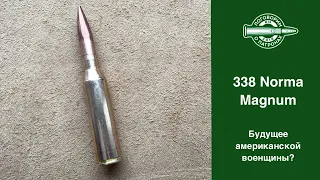 338 Norma Magnum. Будущее снайперской стрельбы?