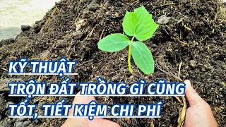 Cách trộn đất trồng gì cũng tốt tiết kiệm chi phí tối đa làm vườn#4