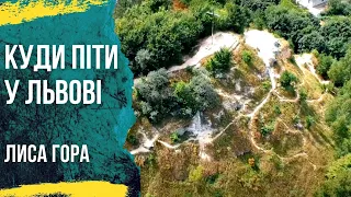 Лиса гора у Львові панорама на Високий Замок