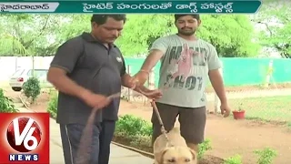 Dog Hostels | Dog Daycare Centers In Hyderabad | Happy Dogs Kennel | V6 News
