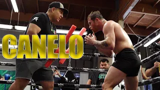 Canelo Counter Attack & Defensive Training