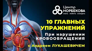 Открытый вебинар 10 главных упражнений для тех у кого нарушено кровообращение с Андреем Лукашевичем