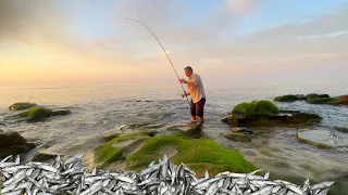 Lure fishing through 1000s of Baitfish!