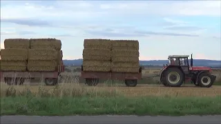 Žně 2019 2x Fendt 936 Vario s lisy Krone BigPack Zetor Crystal 16245 a 160 Forterra 140HSX