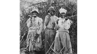 Lectures in History Preview: Caribbean Sugar & the British Colonies