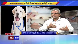 How To Take Care Of Pet Dogs And Protect Tips | Raj News Telugu