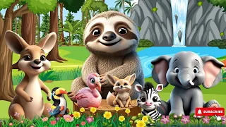 Lovely Animal Sounds: Sloth, Elephant, Fennec Fox, Kangaroo, Toucan, Flamingo | Music For Relax