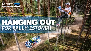 Rally Estonia: What To Expect This Weekend 🇪🇪