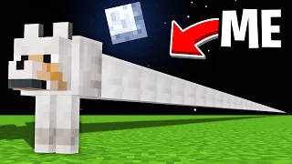 Minecraft but What's This Wolf?!