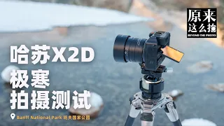 优雅且强悍——哈苏X2D极寒拍摄测试｜原来这么毒 93集