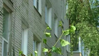 Жертва москитной сетки: в Ярославле из окна десятого этажа выпал двухлетний ребенок