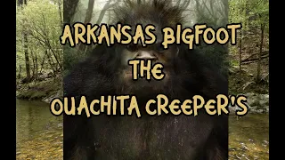 Arkansas Bigfoot: The OUACHITA Creeper's