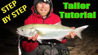 Tailor/Bluefish Tactics| How-to catch more fish!