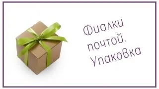 Фиалки почтой. Упаковка