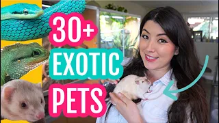 All of My Pets in ONE Video 2022 (I have over 30 pets!?) 🙈 | EMZOTIC