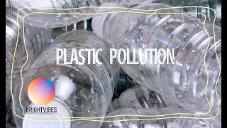 How to stop plastic pollution in 8 simple steps