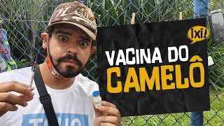 VACINA DO CAMELÔ