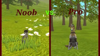 Wildcraft - Noob vs. Pro [kinda funny]