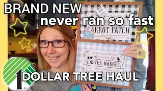 DOLLAR TREE HAUL | SHOCKING NEW FINDS | IT'S ALL NEW! WOW