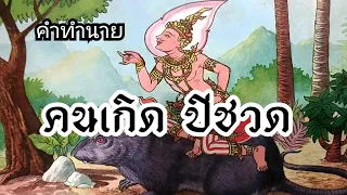 ดวงคนเกิดปีชวด (ปีหนู)🐭 ตามลักษณะวันเกิดและเดือนเกิด #ช่องแมวตาเพชร #ปีนักษัตร