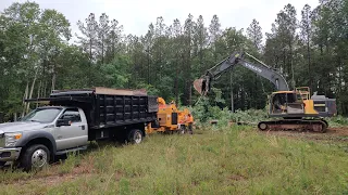 Clearing Some Big Oaks Off A Lake Lot A Bealy Goods
