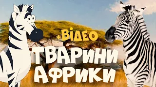 ТВАРИНИ АФРИКИ - розвиваючі мультики для дітей українською мовою