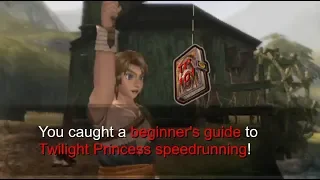 Twilight Princess Any% Speedrun (Beginner-Friendly Route) in 3:37:38