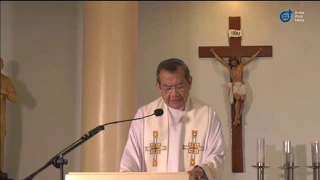 Live 10:15 AM Holy  Mass with Fr Jerry Orbos SVD - July 12, 2020 15th Sunday in Ordinary Time