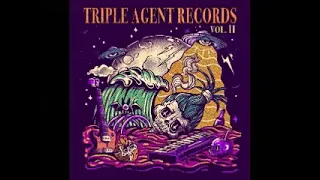 Various – Triple Agent Records Vol. II MEXICAN Surf Garage Rock Instro Fuzz  Music Album Compilation