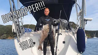 SPEARFISHING my biggest SNAPPER