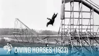 Diving Horses: A Wild Attraction for the Daring Rider (1923) | British Pathé