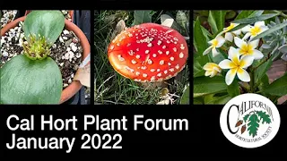 Plant Forum, California Horticultural Society, January 2022