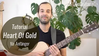 Heart Of Gold - Neil Young - 2.7 - Gitarren Tutorial für Anfänger (Gitarre Lernen mit LiveGuitar.de)