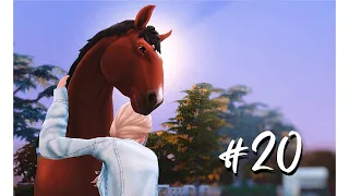Ферма на миллион #20 - Прощай, лошадка [The Sims 4]