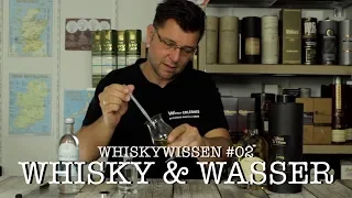 Whiskywissen - Whisky & Wasser