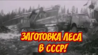 ХРОНИКА СССР!ЛЕСОЗАГОТОВИТЕЛЬНАЯ ТЕХНИКА СССР 1985г