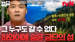 일가 허락 없이는 왕족도 못 들어가는 섬? 금지하니까 더 가고 싶은 금단의 영역들😈 | 프리한19