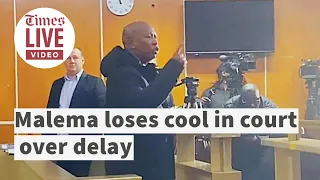 Julius Malema blames magistrate for 'always arriving late' at firearm court case