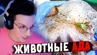 МАЗЕЛЛОВ СМОТРИТ: Животные Ада. 10 Самых Страшных Животных в Мире! | Мастерская Настроения