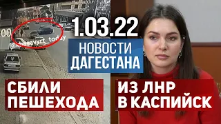 Новости Дагестана за 1 марта 2022 года